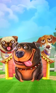 The Dog House